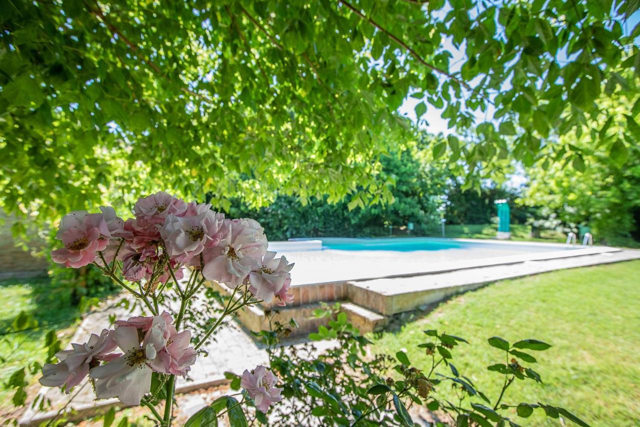 Borgo Del Nibbio Appartement Porto Levante Buitenkant foto